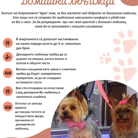 Aura Апартаменты *